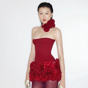 FANCì CLUB PARADISE CUPPED CORSET PAIRED WITH HAND-EMBROIDERED ROSE MINI SKIRT